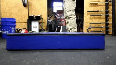 3cef96dcc9b8035d23f69e30bb19218a_1