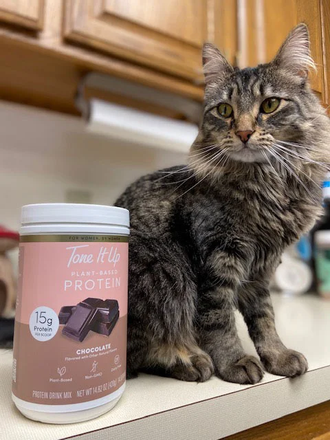 tone-it-up-protein-next-to-kitten