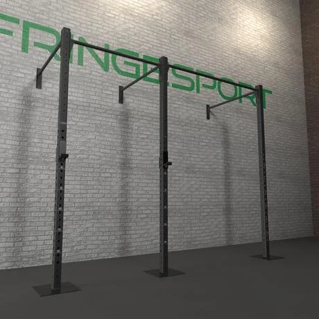 Fringe Sport Wall Mount Gym Rig