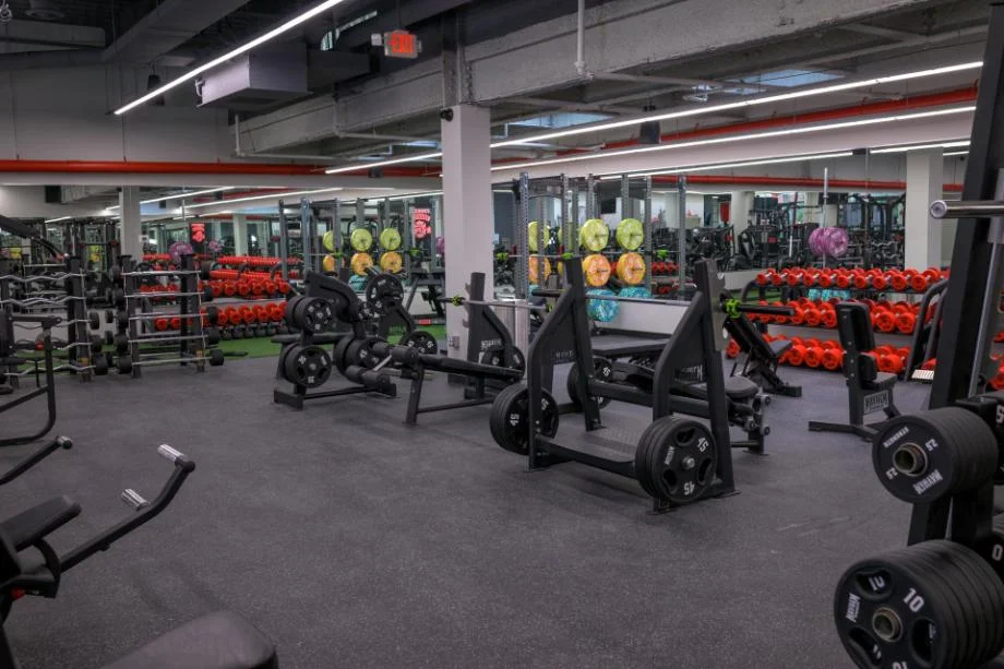 Gym Bro Fitness Coupon Code (2026): Save with an Exclusive Code and More