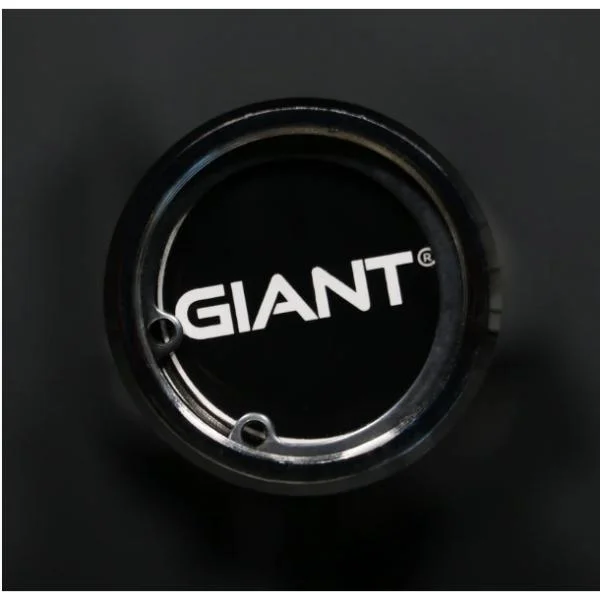 GIANT Lifting Basic Bar