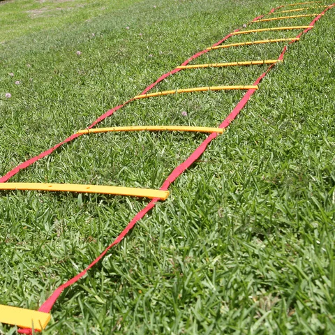 Fringe Speed & Agility Ladder