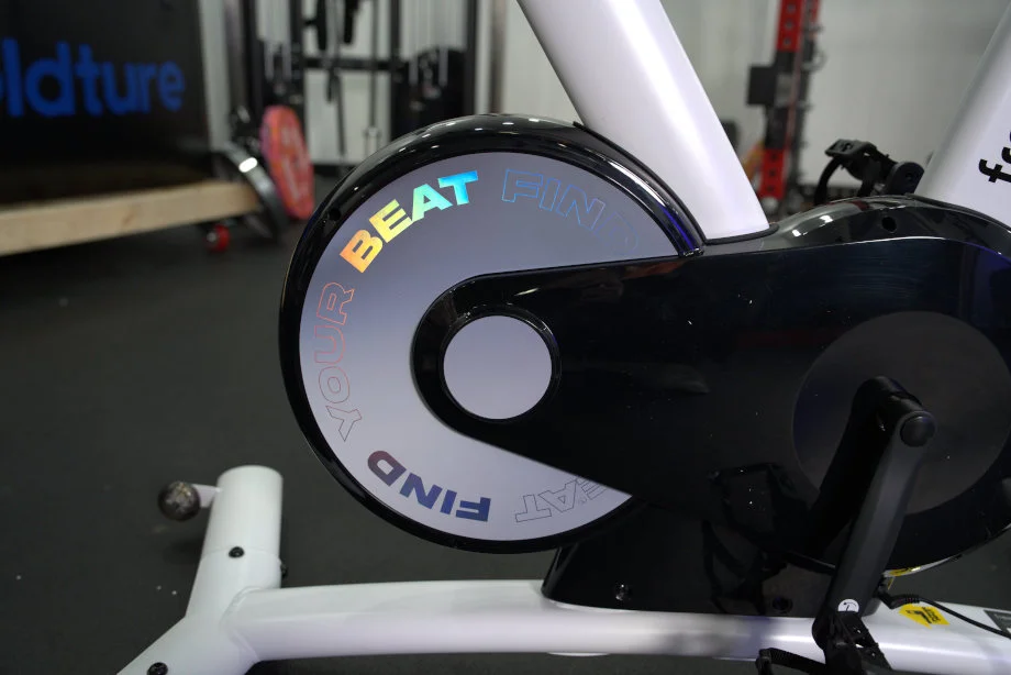 Flywheel on the Free Beat Boom Bike
