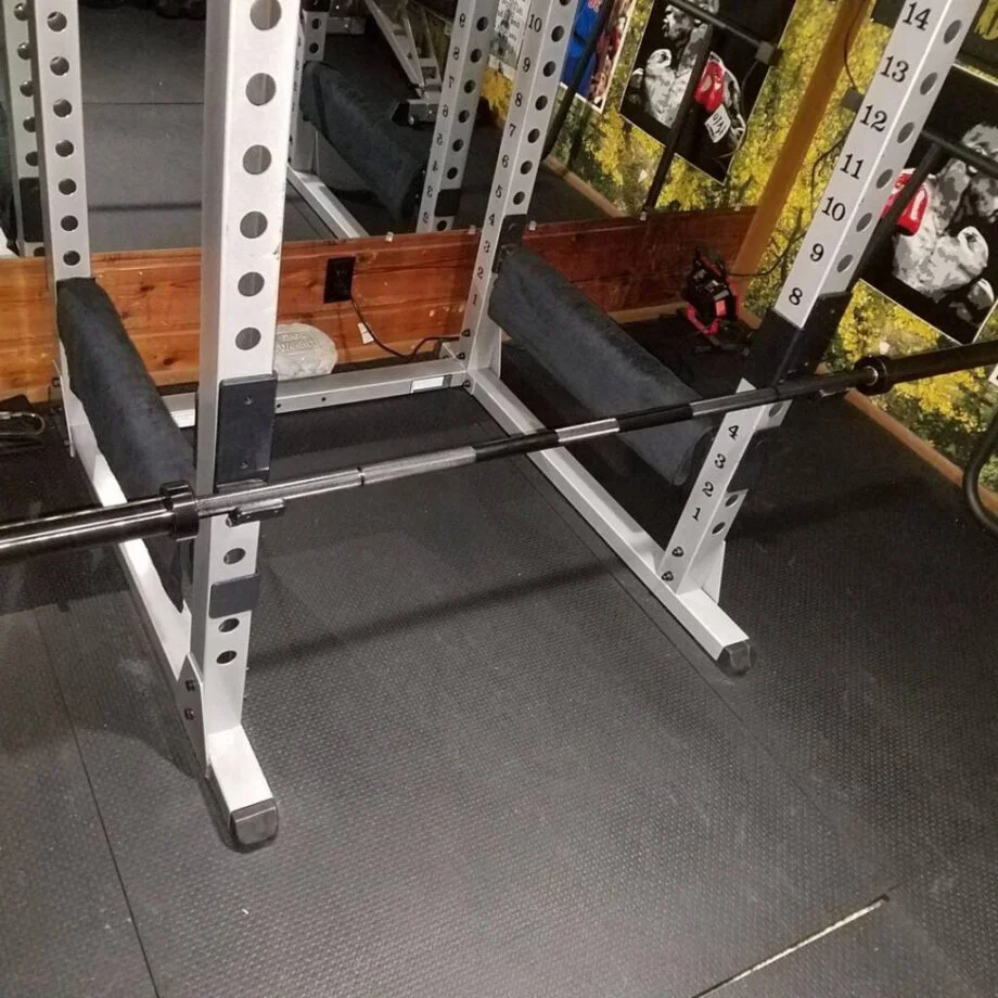 Rogue Westside Power Bar 2.0