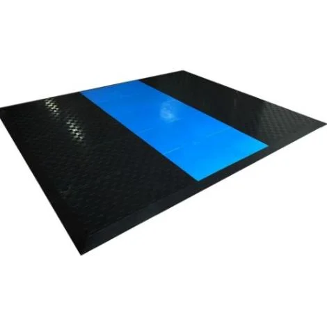 UESAKA Puzzle Platform