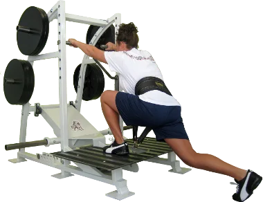 Pit Shark Belt Squat