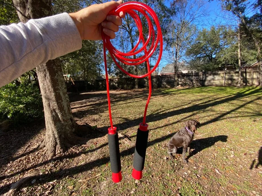 Close-up of a person holding a rolled up red jump rope outside with a sitting brown dog looking at the camera in the background.