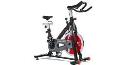 The Sunny Health and Fitness Bike