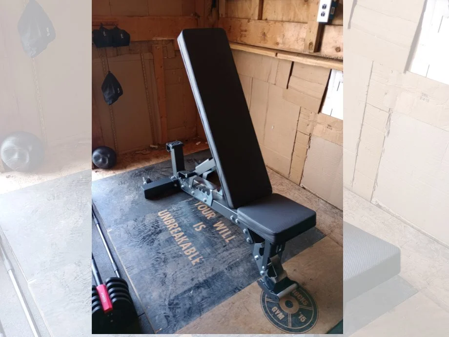 A DMoose Adjustable Bench is shown with the back in an upright position