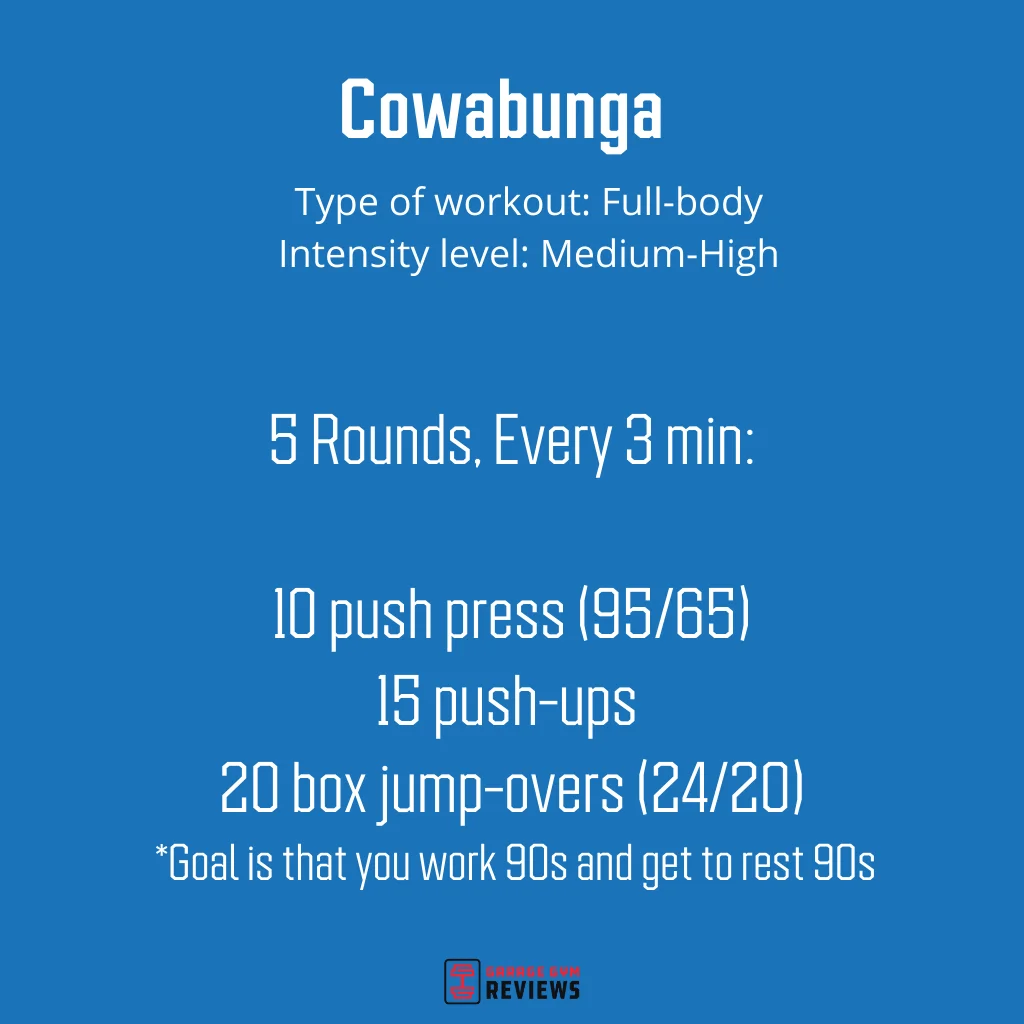 The details of a workout named "Cowabunga"