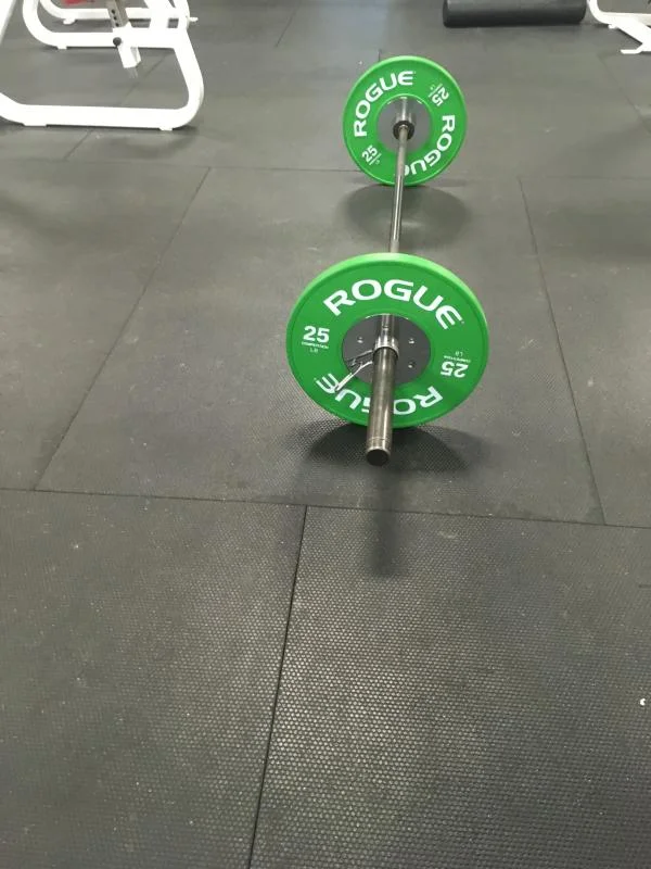 Rogue LB Competition Bumper Plates