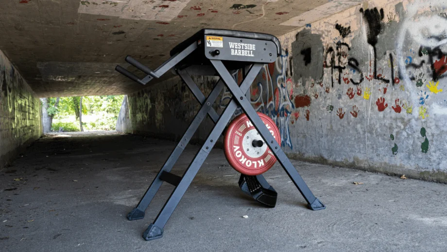 Rogue Westside Scout Hyper Review Garage Gym Reviews
