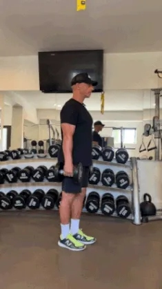 harley pasternak kickstand rdl