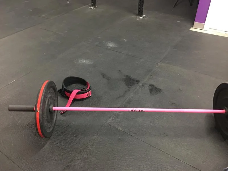 Rogue Bella Bar 2.0 - Cerakote