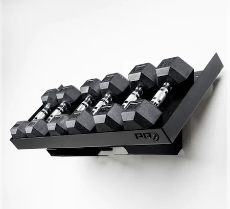 PRx Wall Mount Dumbbell Storage