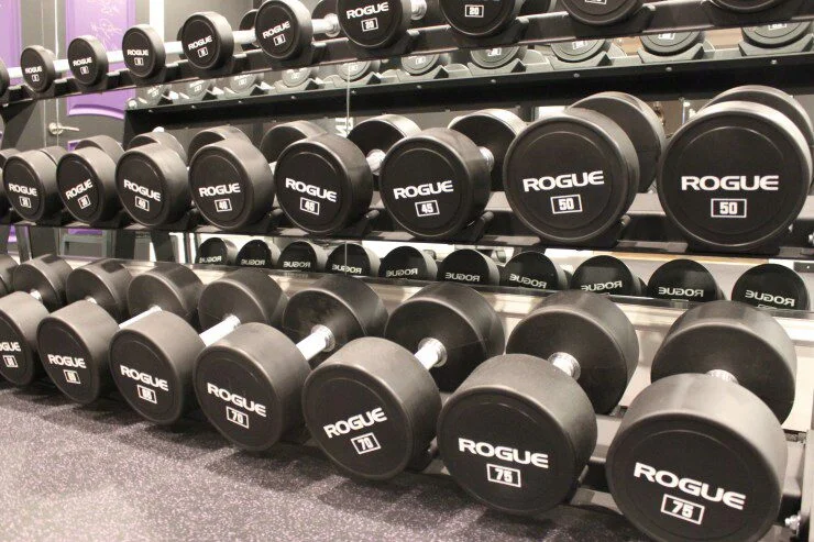 Rogue Urethane Dumbbells