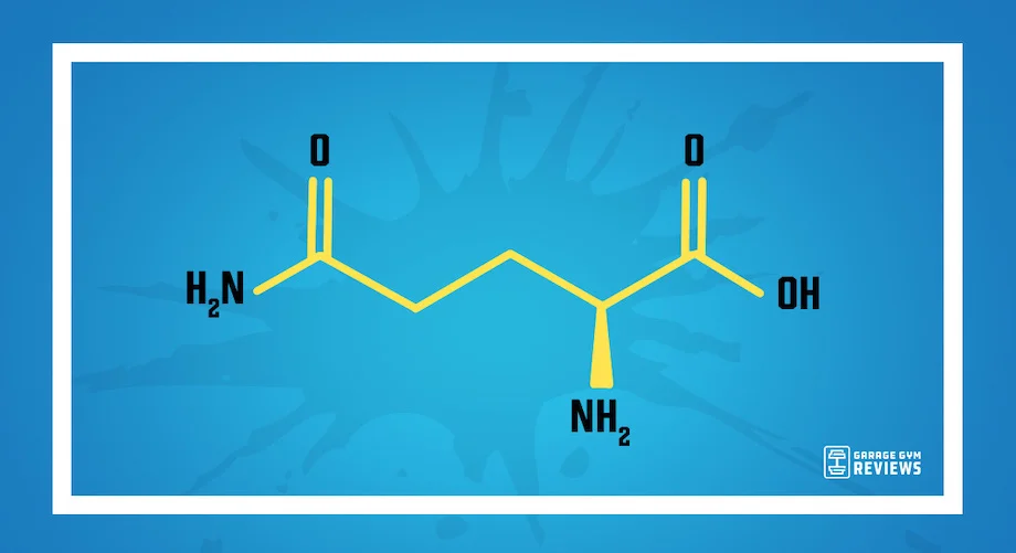 An image for benefits of glutamine
