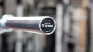 Rogue Echo Bar 2