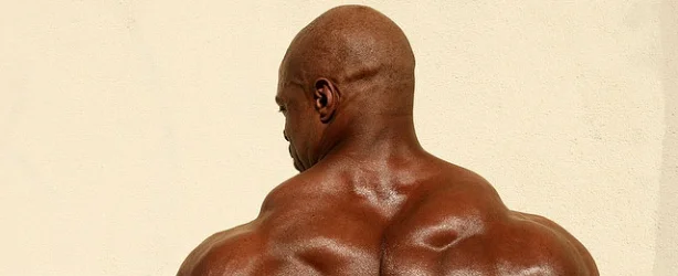 fe8c15fed5f808006ce95eddb7366e35_0