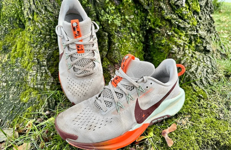 The Nike Pegasus Trail 5 trail running shoes sitting next to a tree