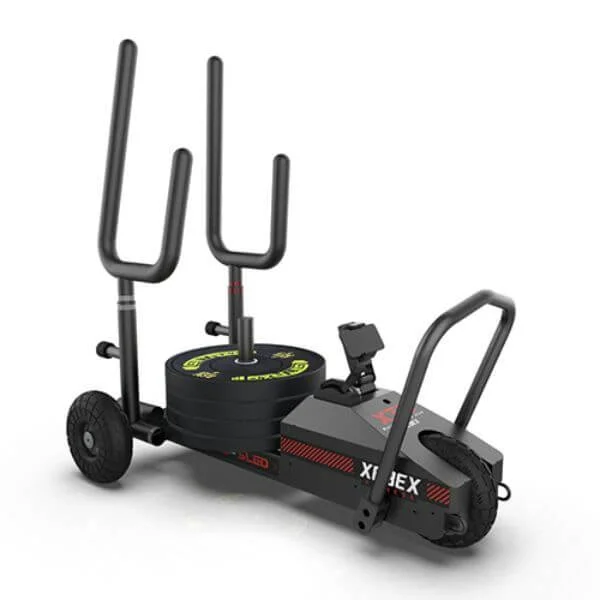 Xebex XT3 Sled