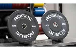 rogue echo plates