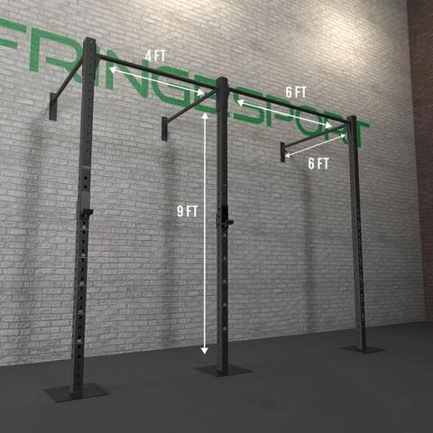 Fringe Sport Wall Mount Gym Rig