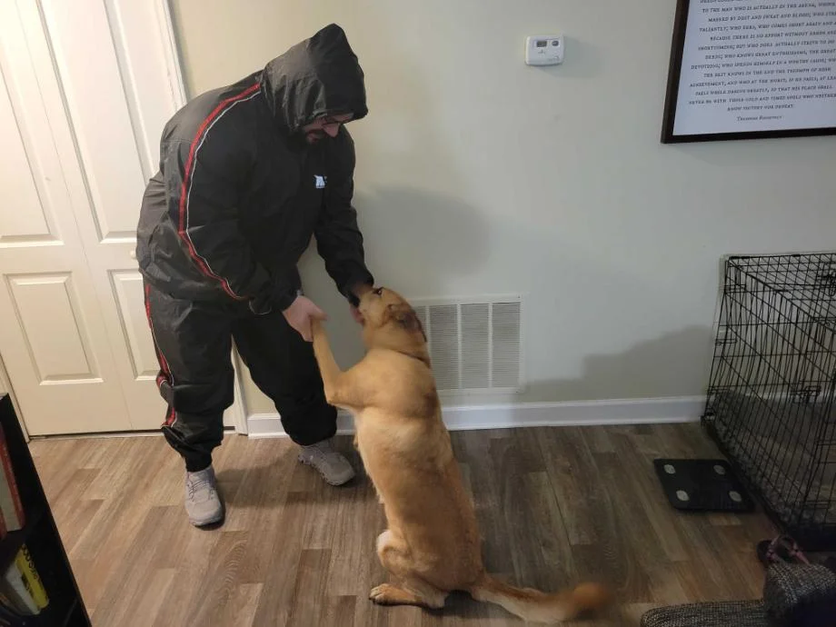 Best Sauna Suit (2026): Sweat Suits Made To Jump-Start Your Fitness