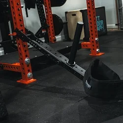 An image of the Fringe Sport Mammoth belt squat