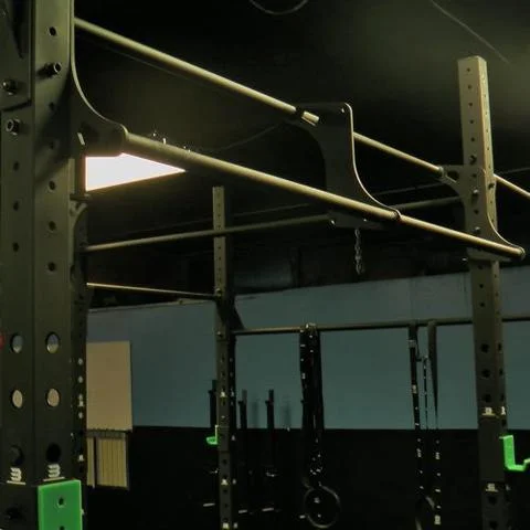 Fringe Sport Wall Mount Gym Rig