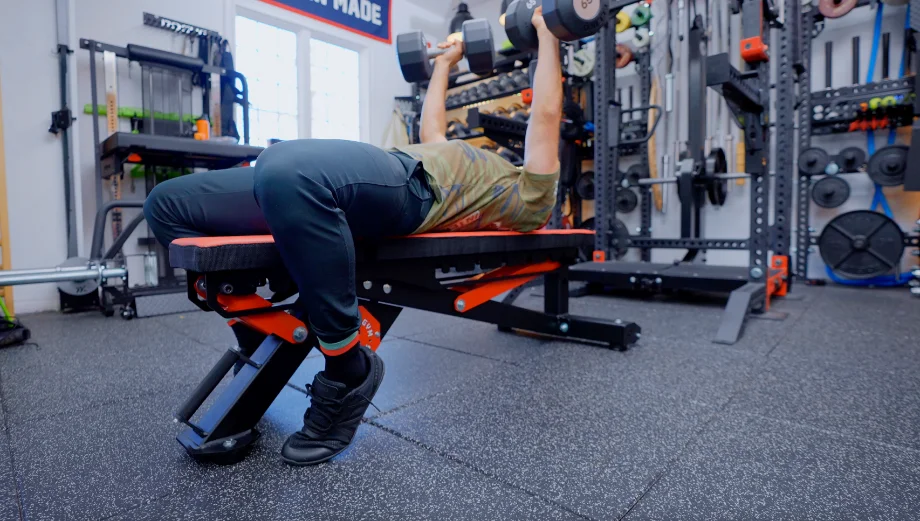 stray dog bench 2023 01 17 at 9 7 1