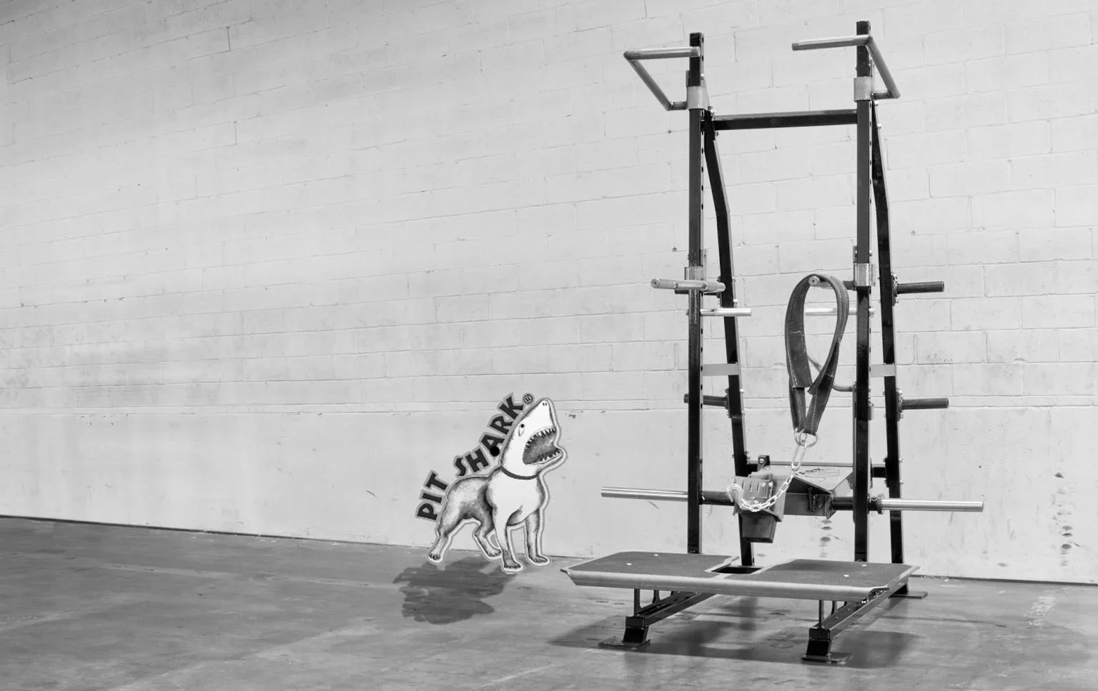 Pit Shark Belt Squat