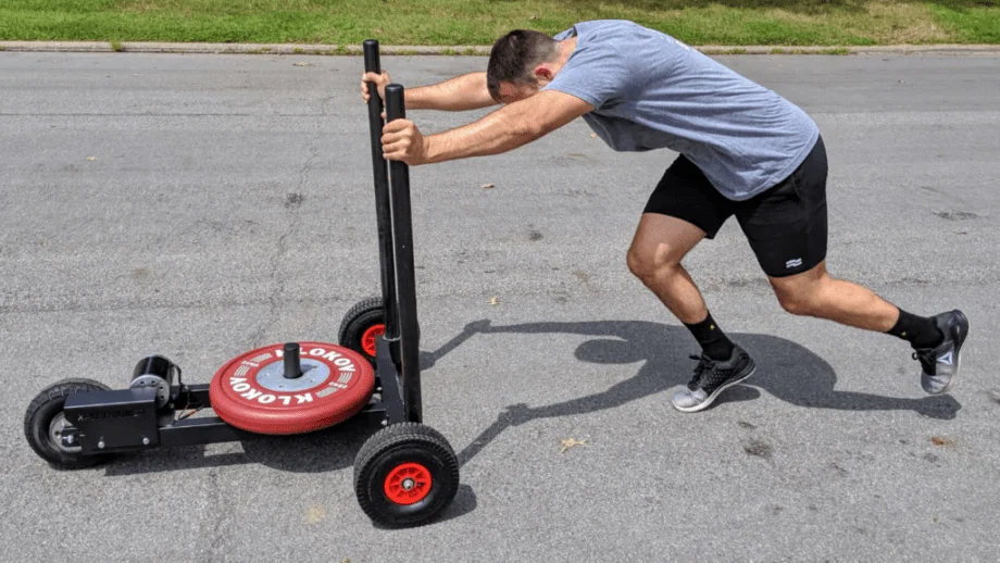 XPO Trainer Sled 2