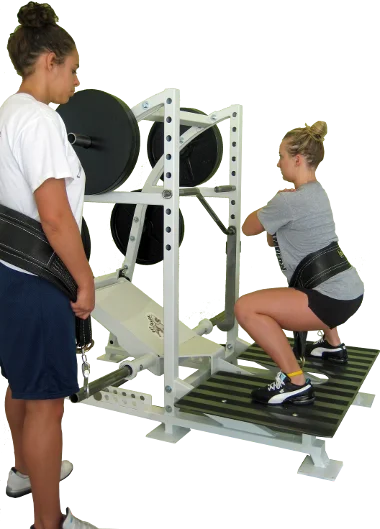 Pit Shark Belt Squat