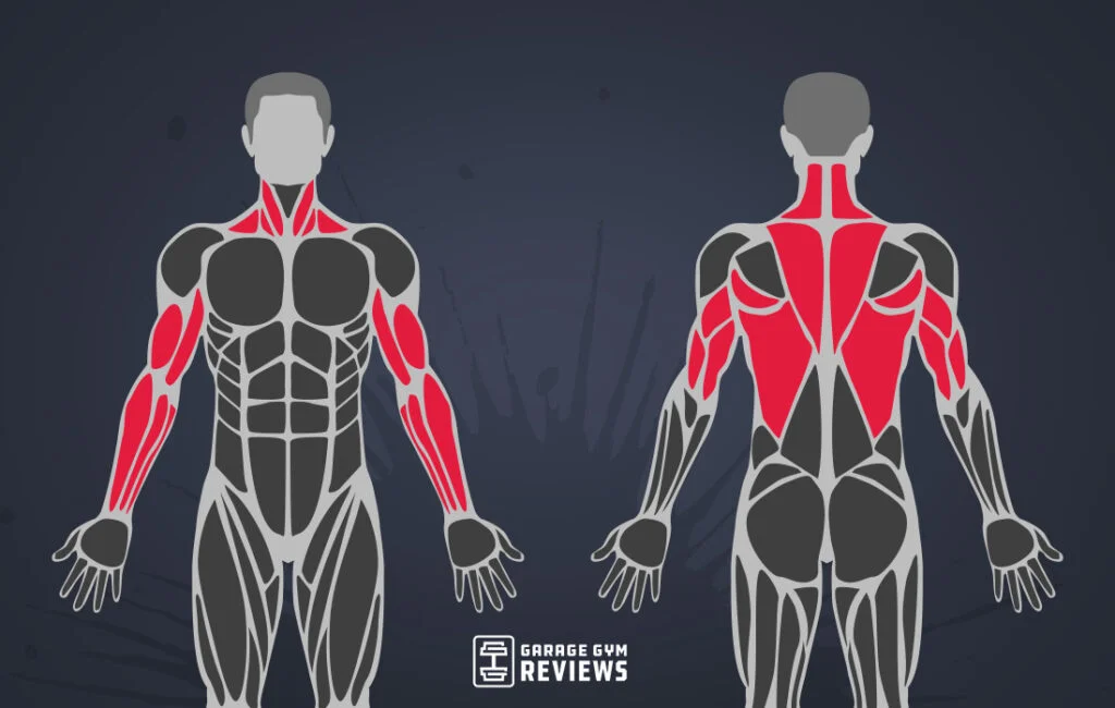 what muscles do pull ups work