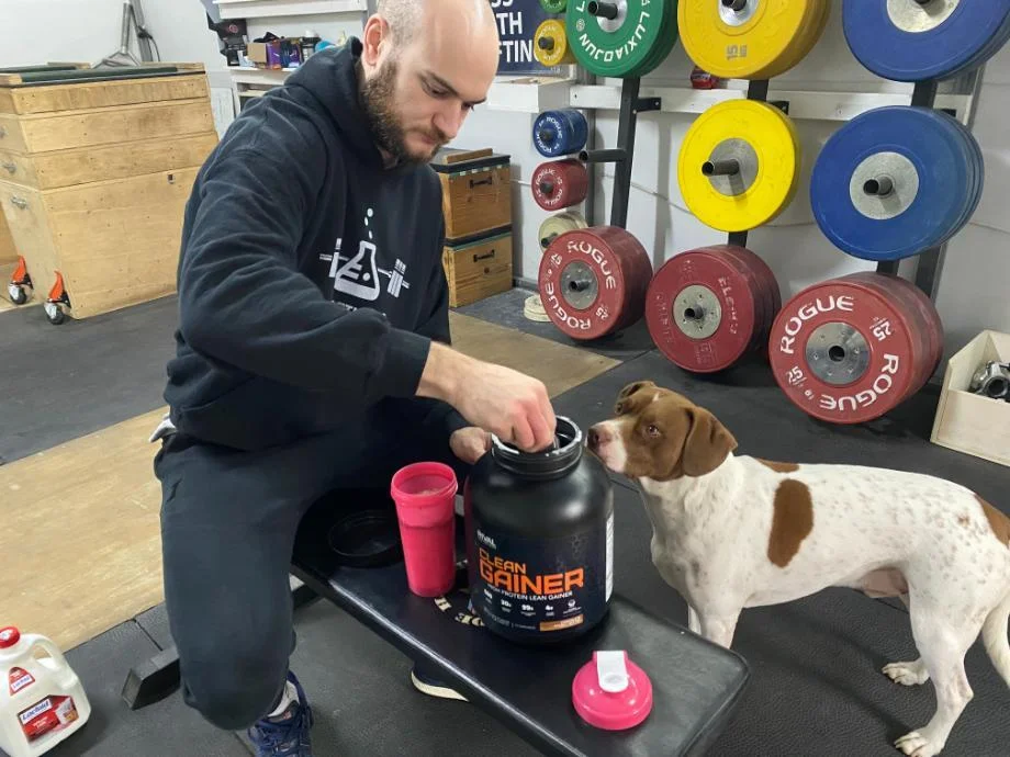 gym dog curious about rival nutrition mass gainer 1