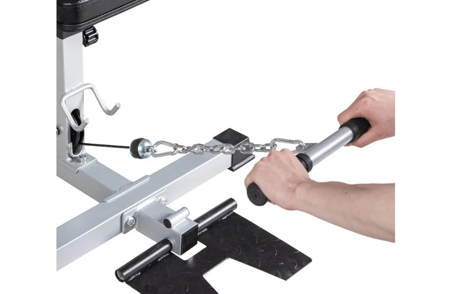 GDLF Lat Pulldown Low Row Resized