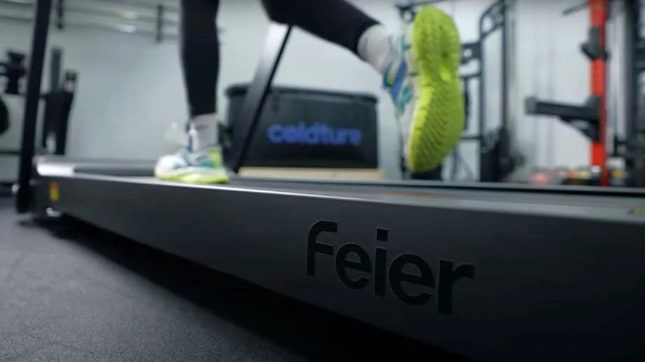 feier treadmill star 100 running deck