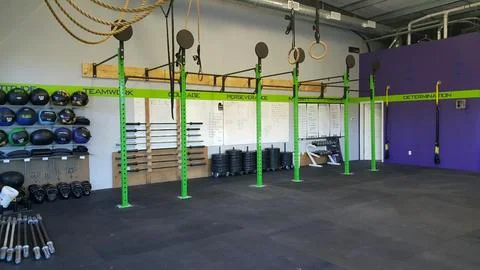 Fringe Sport Wall Mount Gym Rig