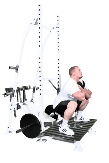 Pit Shark Belt Squat