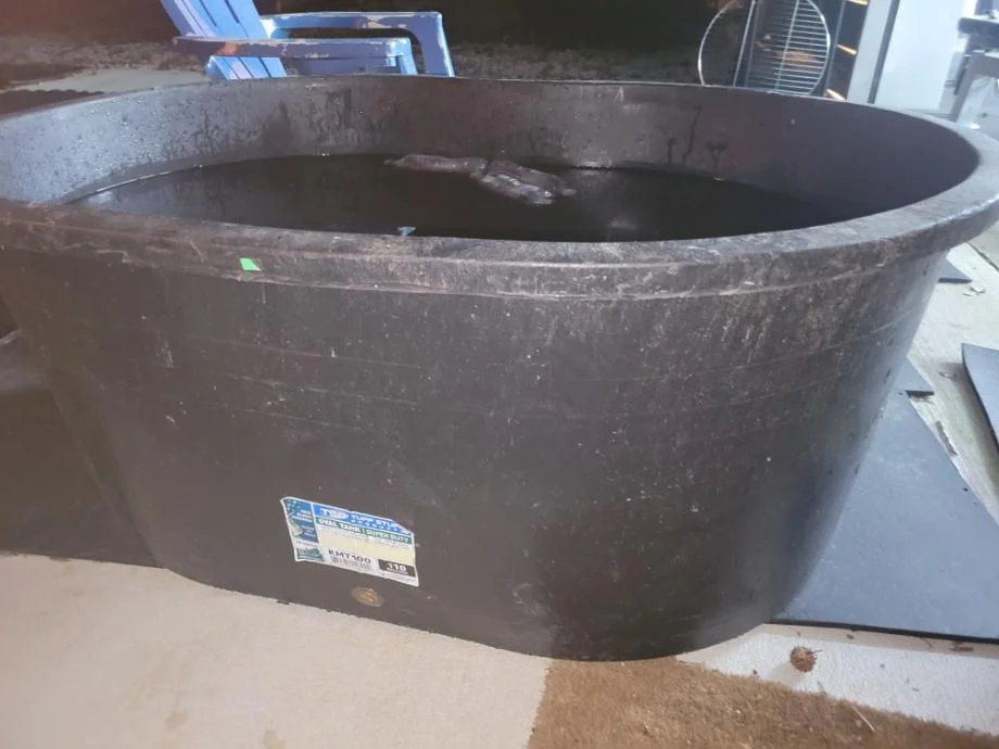 A Tuff Stuff Stock Tank filled with water