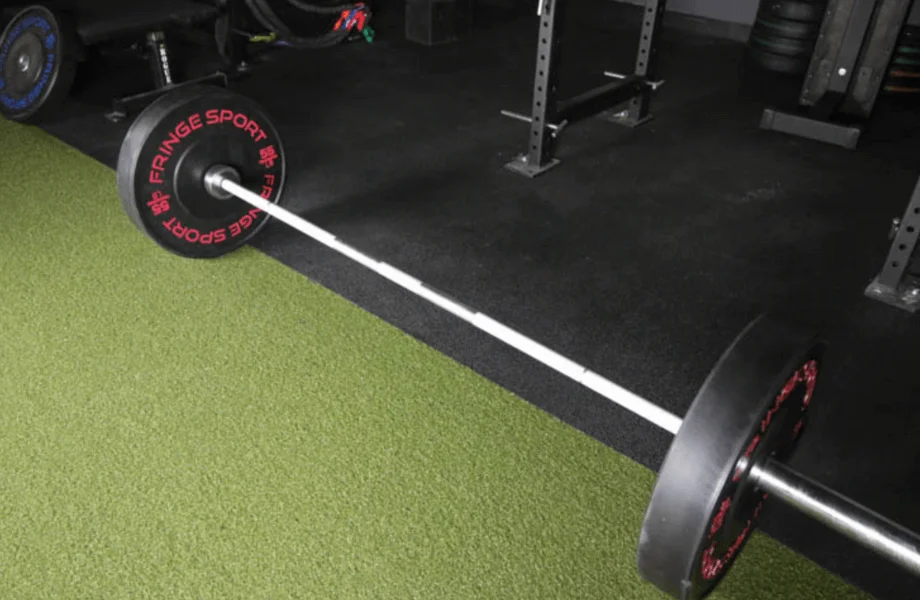 An overhead view of a barbell loaded with Fringe Sport Black Bumper Plates