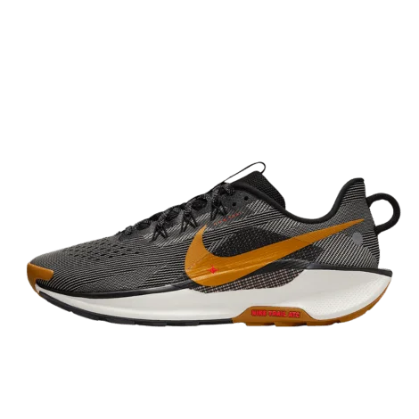 Nike Pegasus Trail 5