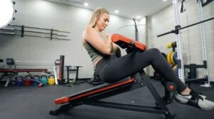 flybird roman chair bench review cover