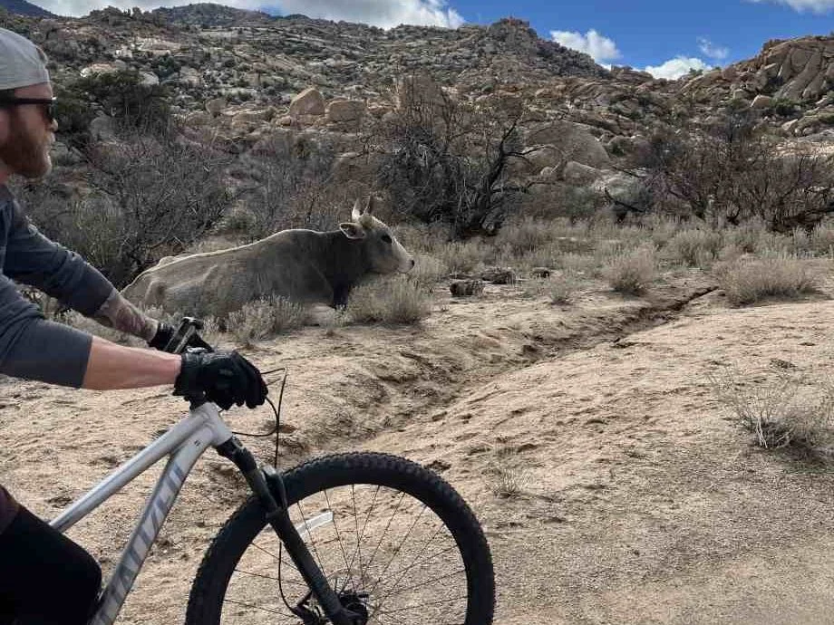 The Best Gravel Bikes of 2026: Coaches, Athletes, and Shop Owners Recommend These Bikes