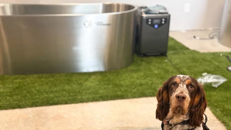 Our canine tester poses in front of the Polar Monkeys Cyber Tub