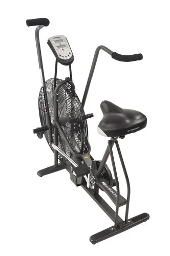 Schwinn AD4 Airdyne Air Bike