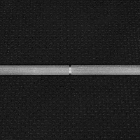 Fringe Sport Power Barbell