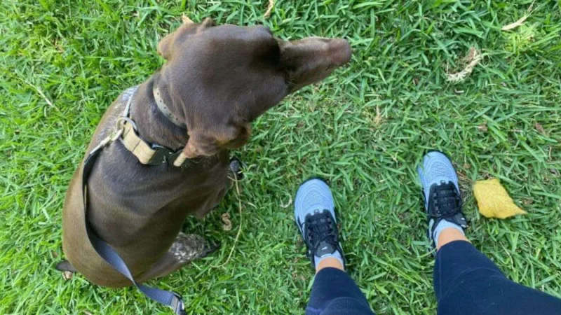 A person walking their dog in Reebok Nano X2 shoes.