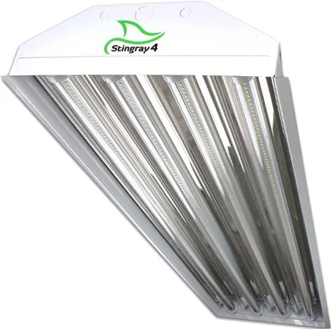 Prime Lights Stingray 4